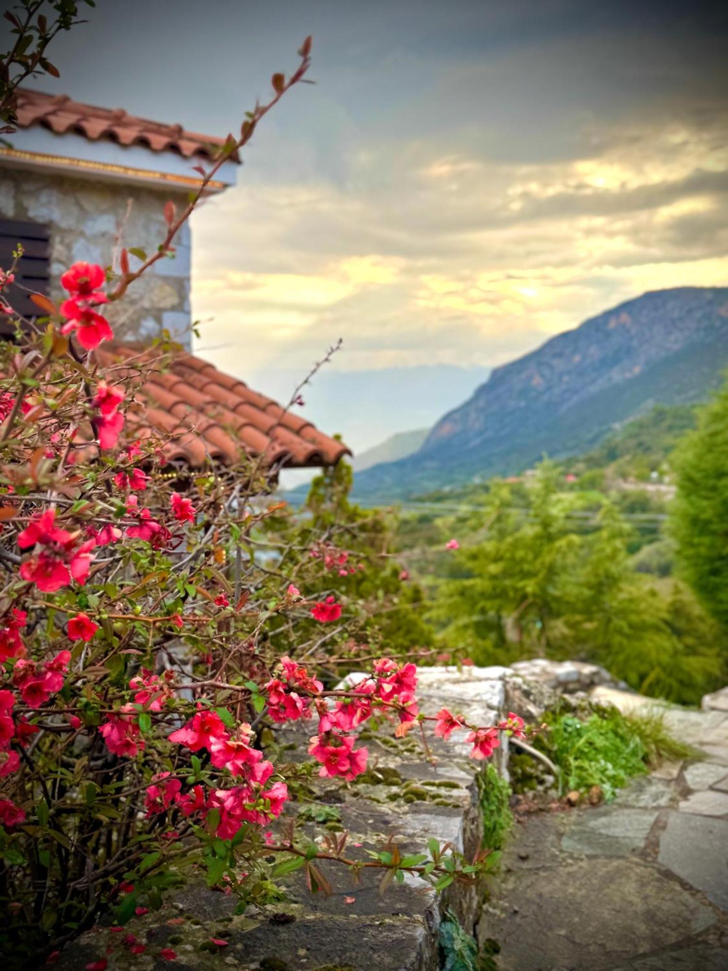 Rock Dandy Deluxe Chalet In Arachova - Delphi, Sauna, Prv Parking, Amazing View Екстериор снимка